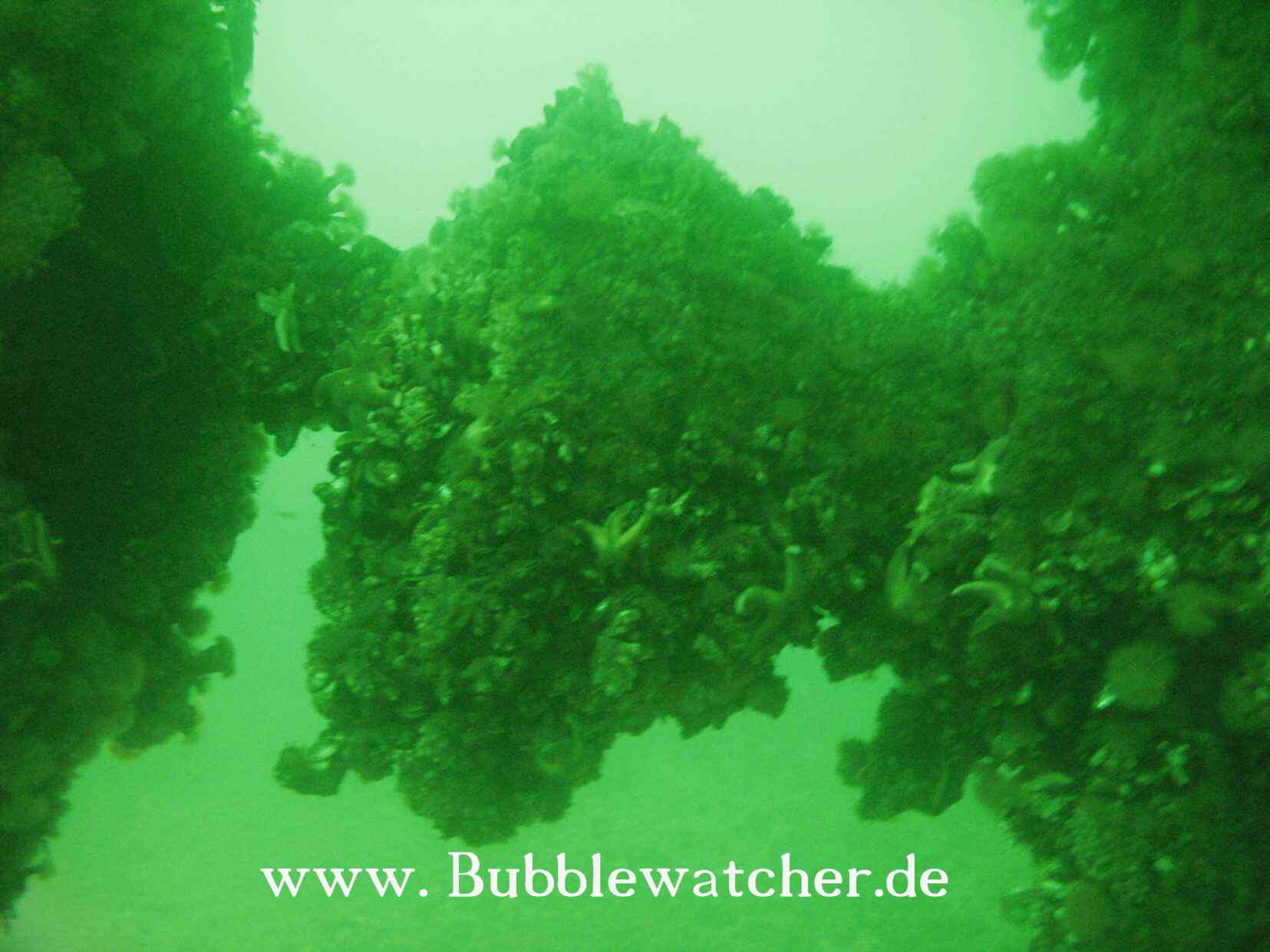 Wellenstumpf, der Propeller wurde entfernt